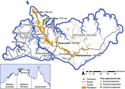 Facultative and Obligate Trees in a Mesic Savanna: Fire Effects on Savanna Structure Imply Contrasting Strategies of Eco-Taxonomic Groups